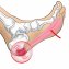 Rouleau de massage pour les pieds - 5