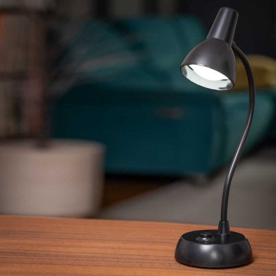 LA LAMPE FLEXIBLE 