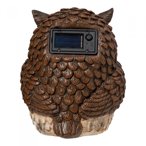 Hibou solaire aux yeux qui bougent 