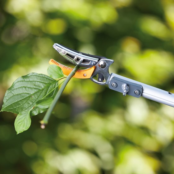 Coupe-branche télescopique avec scie