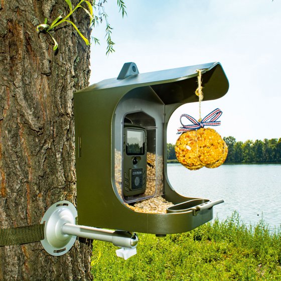 Caméra d'observation des oiseaux avec mangeoire 