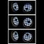 Hibou solaire aux yeux qui bougent - 6