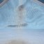 Natte de plage anti-sable - 6