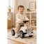 Porteur Classic Car - 6