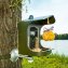 Caméra d'observation des oiseaux avec mangeoire - 6