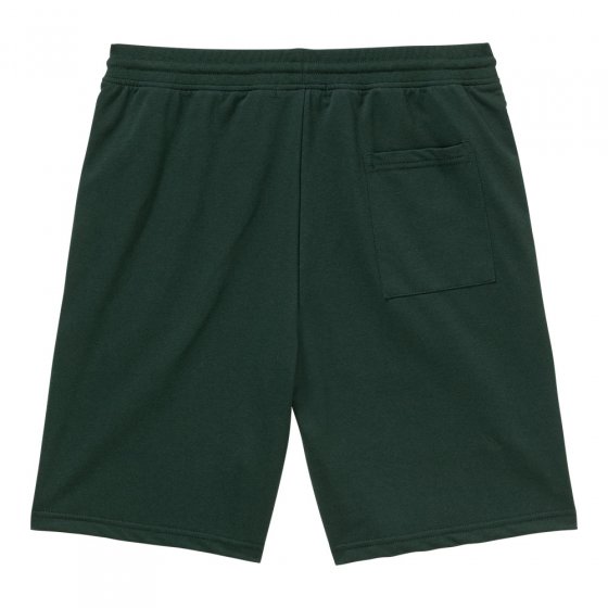 Lot de deux shorts de loisirs 