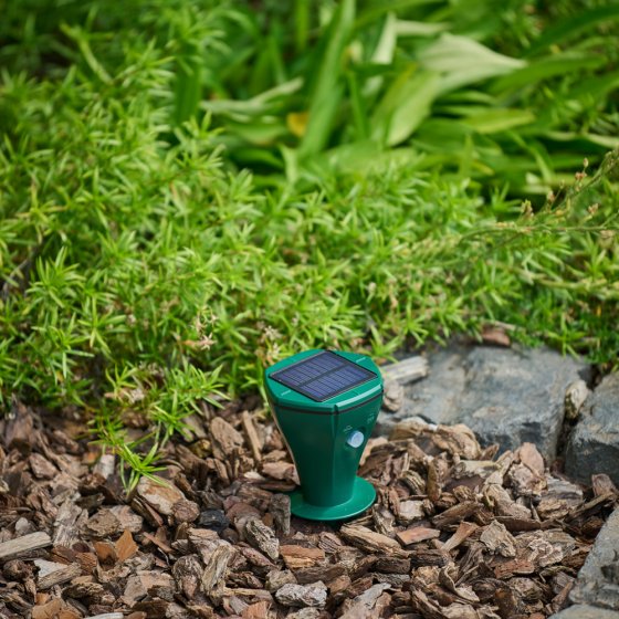 Répulsif solaire contre les campagnols 