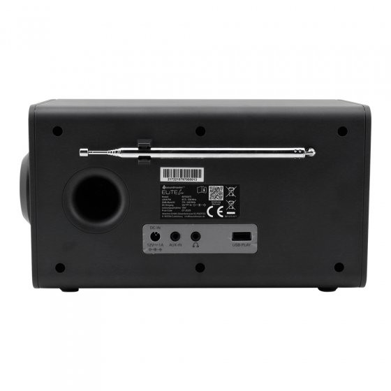 Radio domestique DAB+ au son puissant 