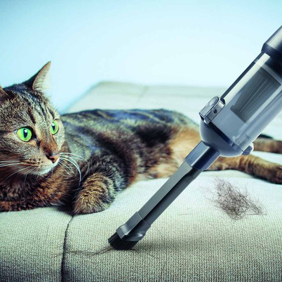Aspirateur à main sans fil 
