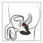 Vibromasseur pour la prostate - 7